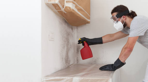 Professional Mold Removal technician working in Garner, NC