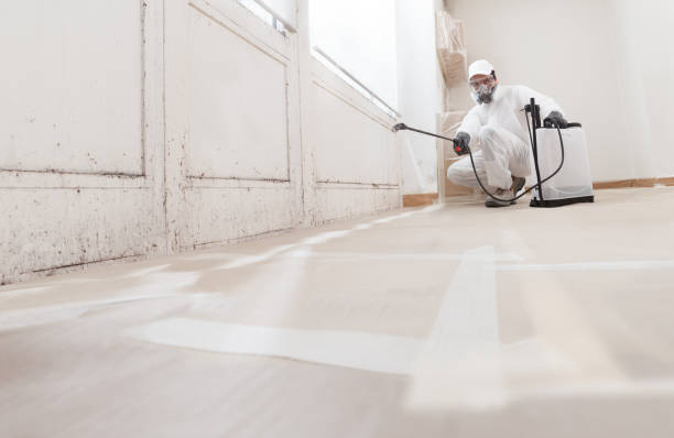 24/7 Emergency Mold Removal experts in Garner, NC